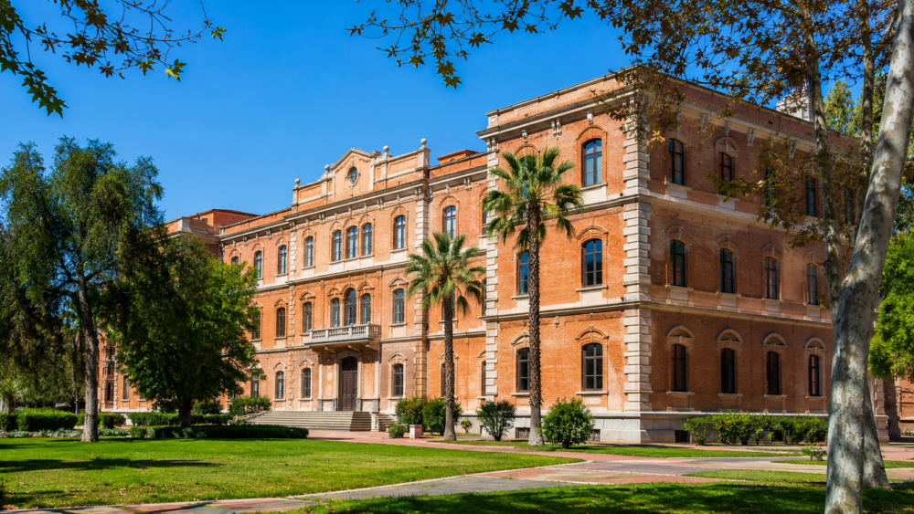 Fully Funded PhD Position in Virology at the University of Valencia, Spain (2026)